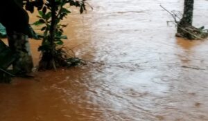 f79ab70c8983407a9c492592880b0a58e106a45462d4dcd2d1046560000cb1b6.0