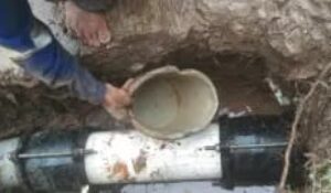 WhatsApp Image 2025-01-06 at 11.37.18_f96588b2