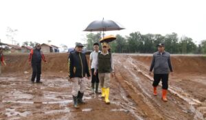 FB_IMG_1742049036394