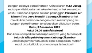 WhatsApp Image 2025-12-11 at 12.14.20